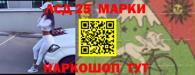 стаф Краснодар