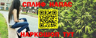 стаф Краснодар