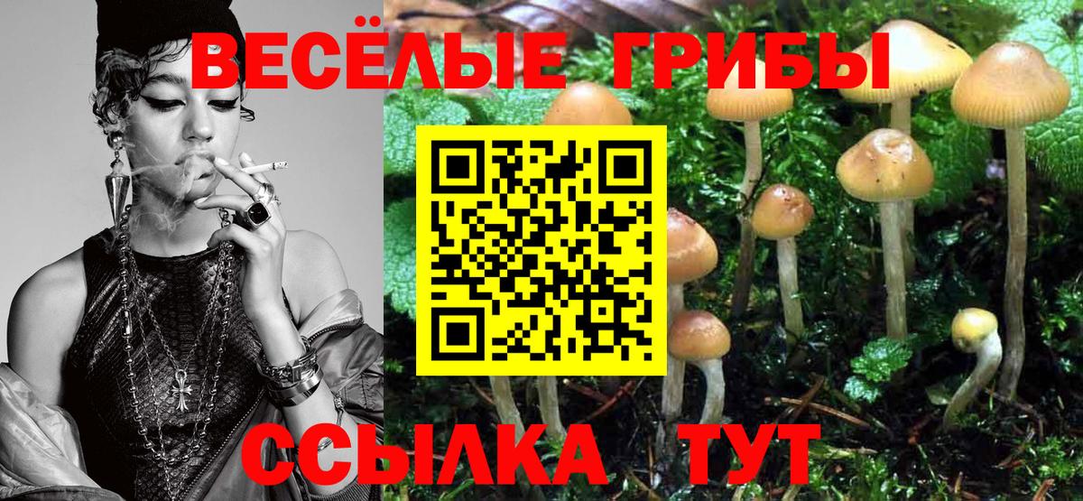 Псилоцибиновые грибы Psilocybe  Вход с VPN  что такое наркотик  Камень-на-Оби 