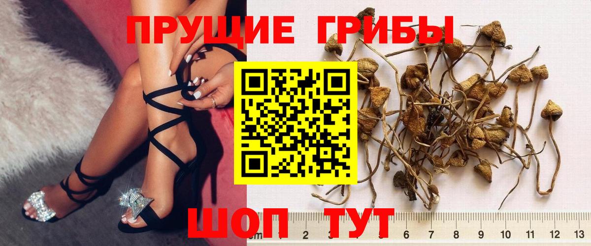 COCAIN  Конопля  Камень-на-Оби  APVP СК   Меф МЯУ МЯУ кристаллы  Вход с VPN 