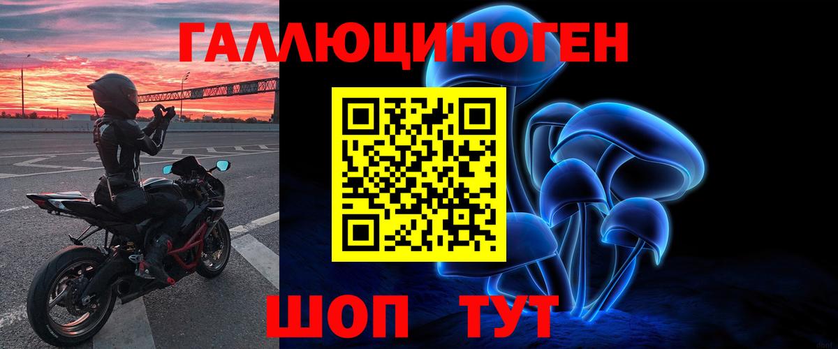 Псилоцибиновые грибы Psilocybine cubensis Камень-на-Оби